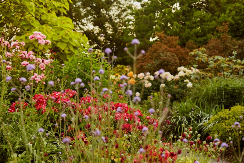 Borde Hill Garden